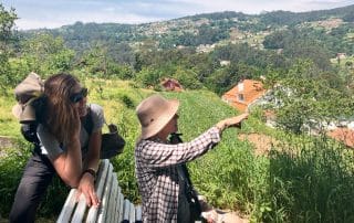 On the Camino near Padron