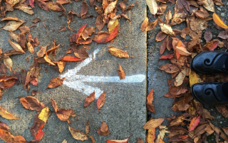 Arrow. Photo by Linda Naiman