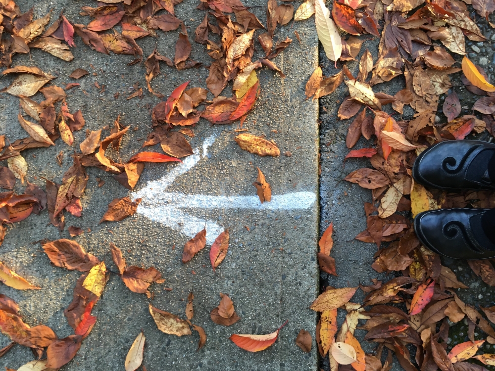 Arrow. Photo by Linda Naiman