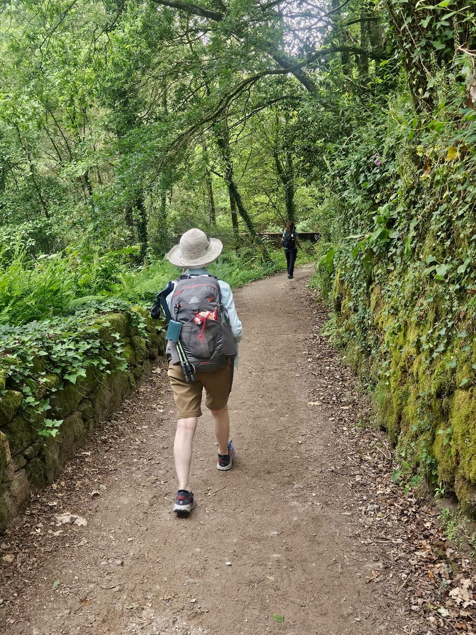 On the Camino trail Linda on the Camino trail