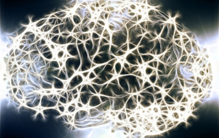 Neurons Brain Structure