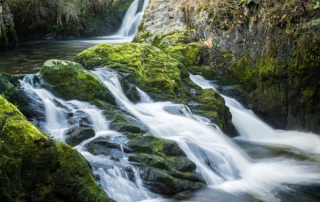 stream
